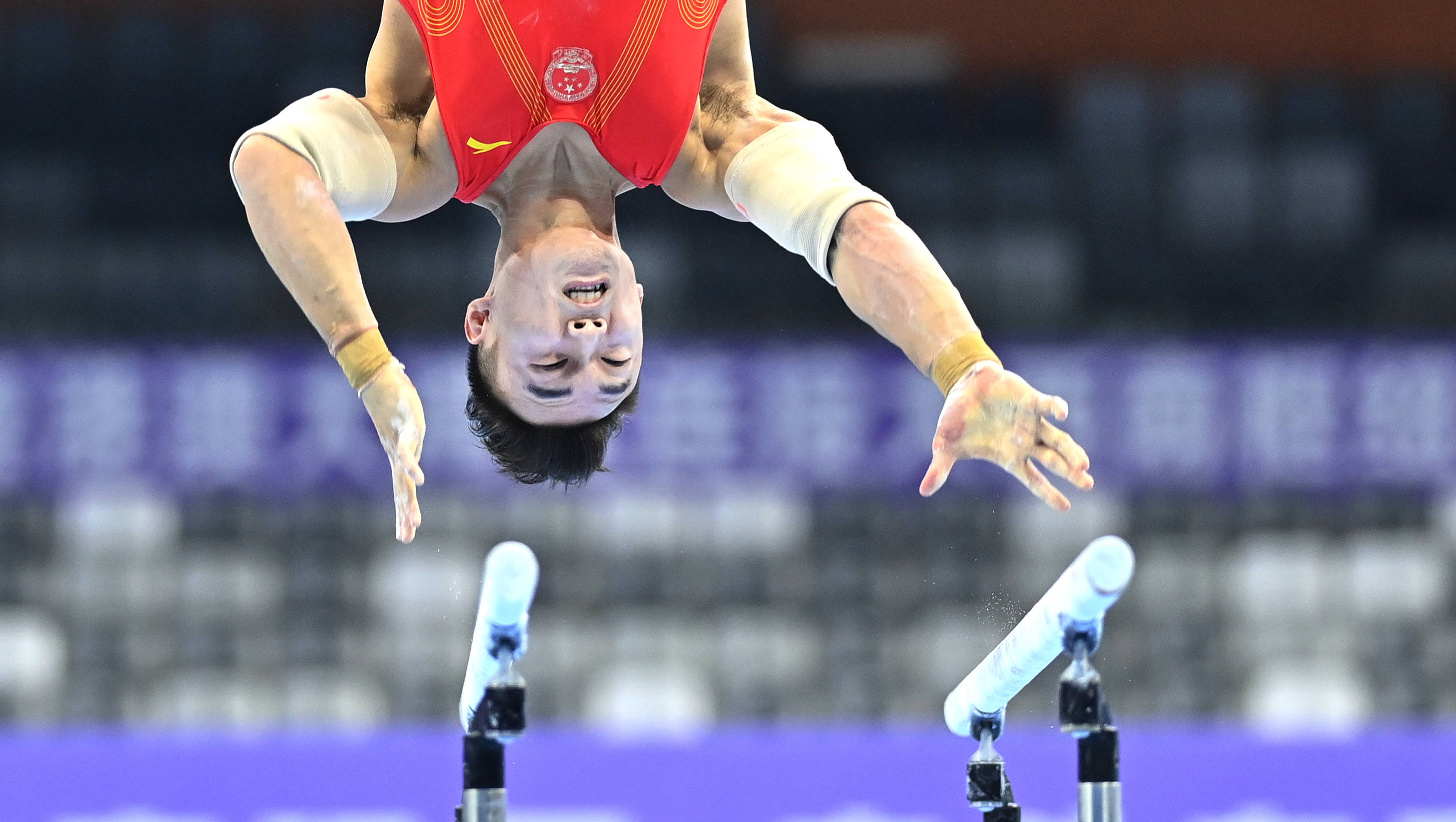 包含意大利体操选手技压群雄,夺得个人全能冠军的词条 包含意大利体操选手技压群雄,夺得个人全能冠军的词条